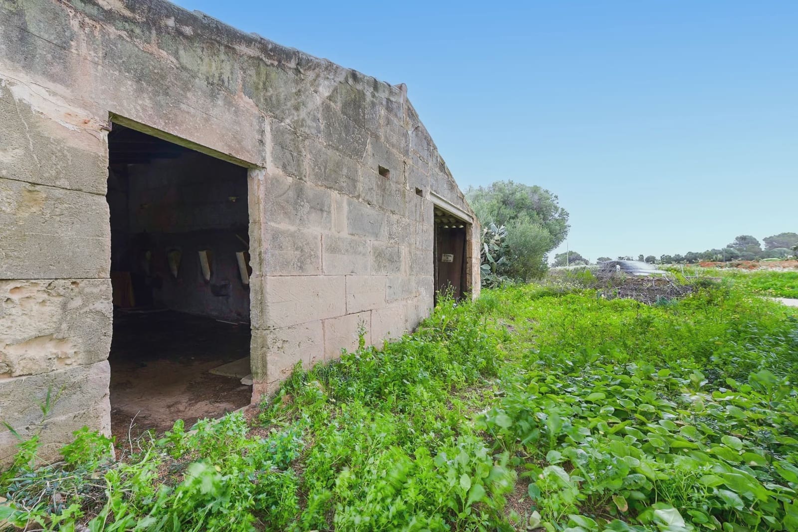 Finca/Country House for sale in Campos - € 283,500 (Ref: 9308739)