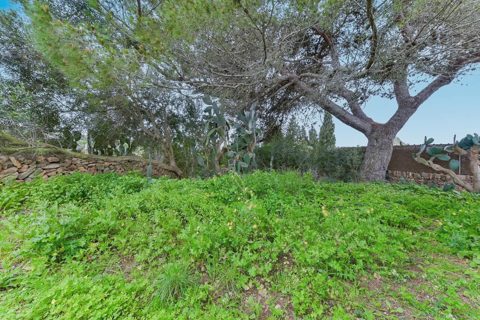 Finca/Maison de Campagne à vendre à Campos - 283 500 € (Ref: 9308739)