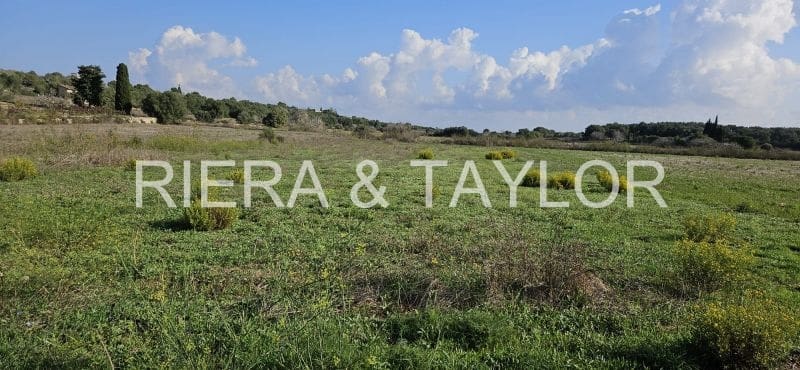 Grunde uden byggetilladelser til salg i Petra - € 14.000 (Ref: 9319686)