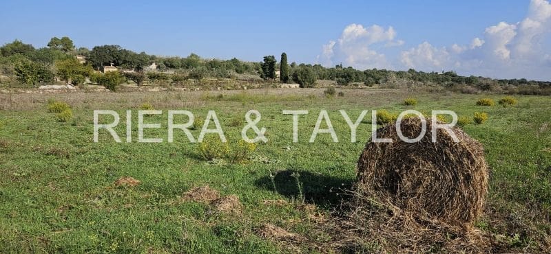 Grunde uden byggetilladelser til salg i Petra - € 14.000 (Ref: 9319686)