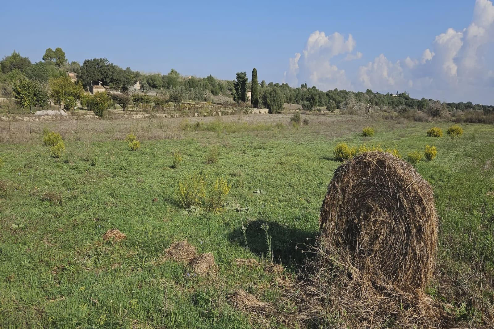 Ubebygd land til salgs i Petra - € 11 000 (Ref: 9319686)