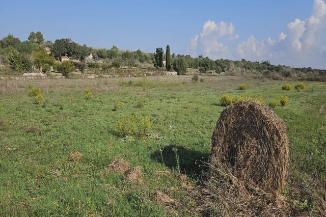 Ubebygd land til salgs i Petra - € 11 000 (Ref: 9319686)