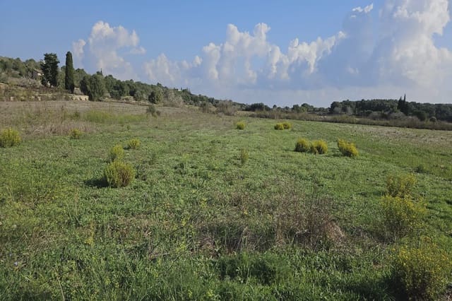 Ubebygd land til salgs i Petra - € 11 000 (Ref: 9319686)