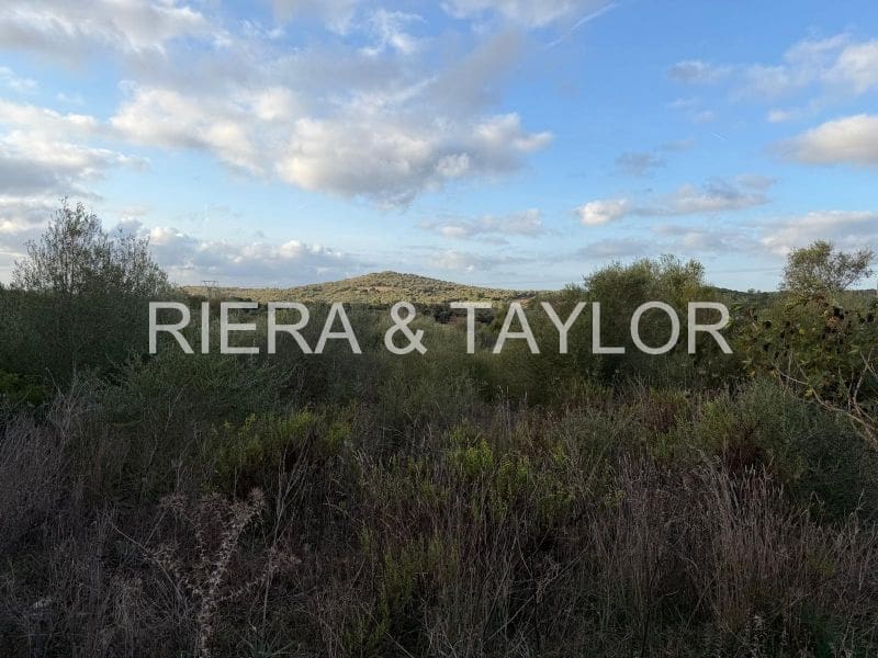 Rakentamaton maa myytävänä paikassa Son Carrio - 240 000 € (Ref: 9319947)