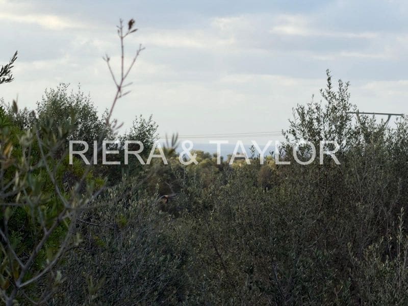 Rakentamaton maa myytävänä paikassa Son Carrio - 240 000 € (Ref: 9319947)