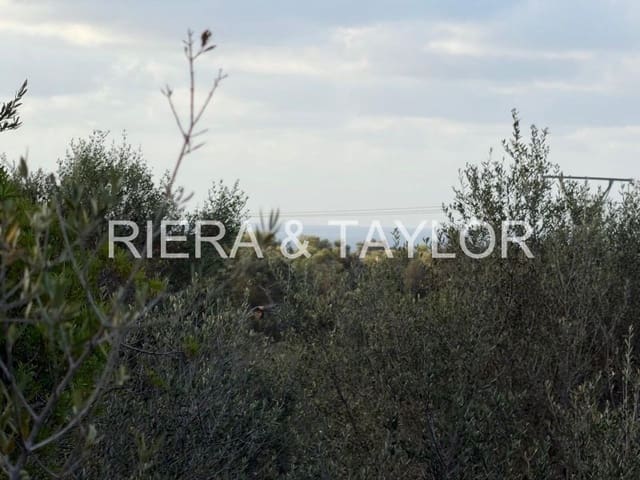 Teren niezagospodarowany na sprzedaż w Son Carrio, Sant Llorenç des Cardassar - 240 000 € (Ref: 9319947)