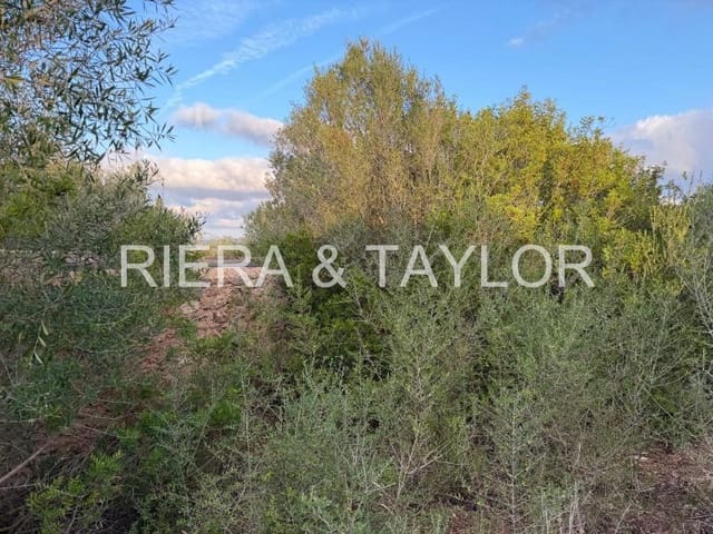 Teren niezagospodarowany na sprzedaż w Son Carrio, Sant Llorenç des Cardassar - 240 000 € (Ref: 9319947)