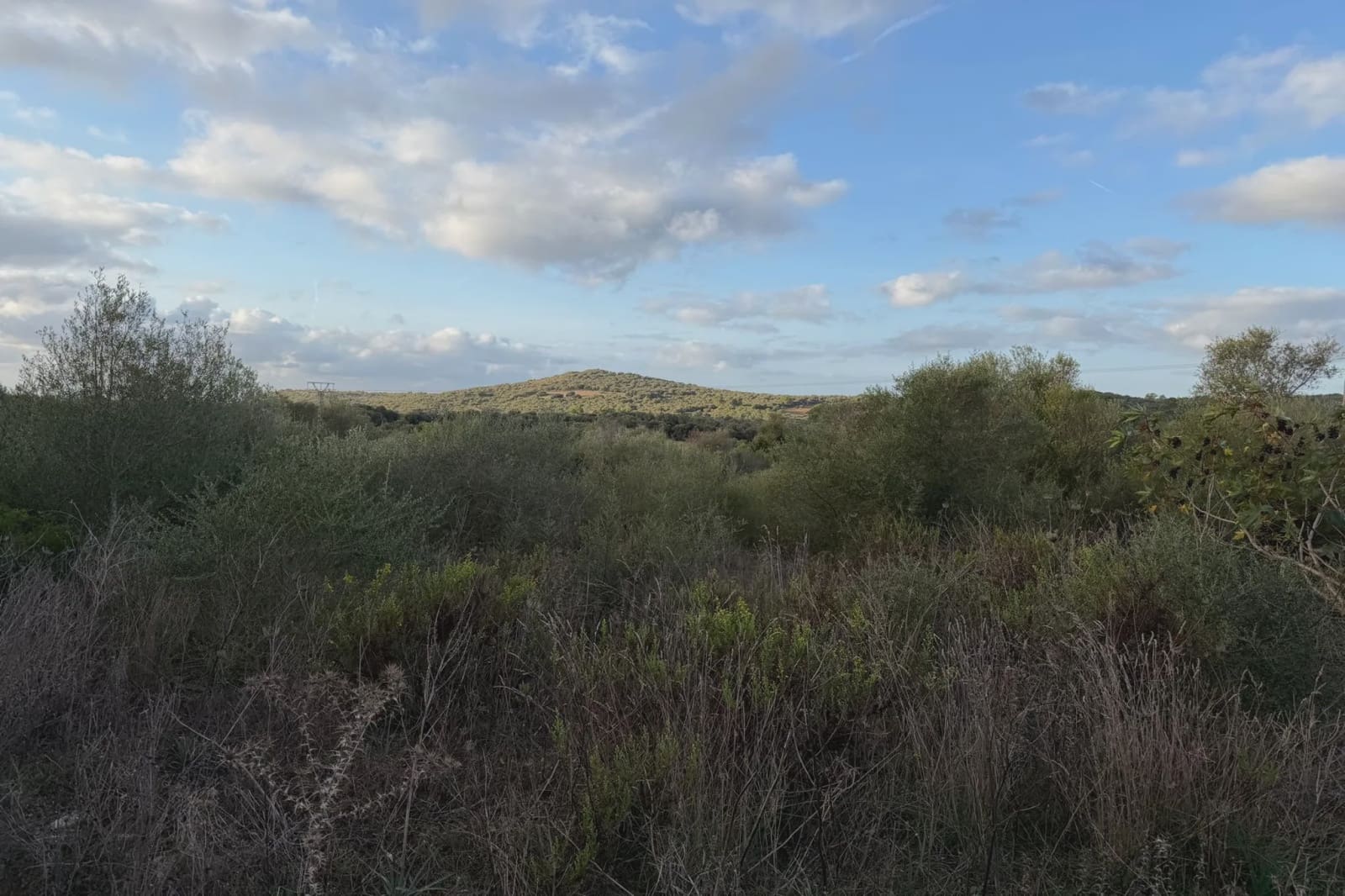 Rakentamaton maa myytävänä paikassa Son Carrio - 210 000 € (Ref: 9319947)