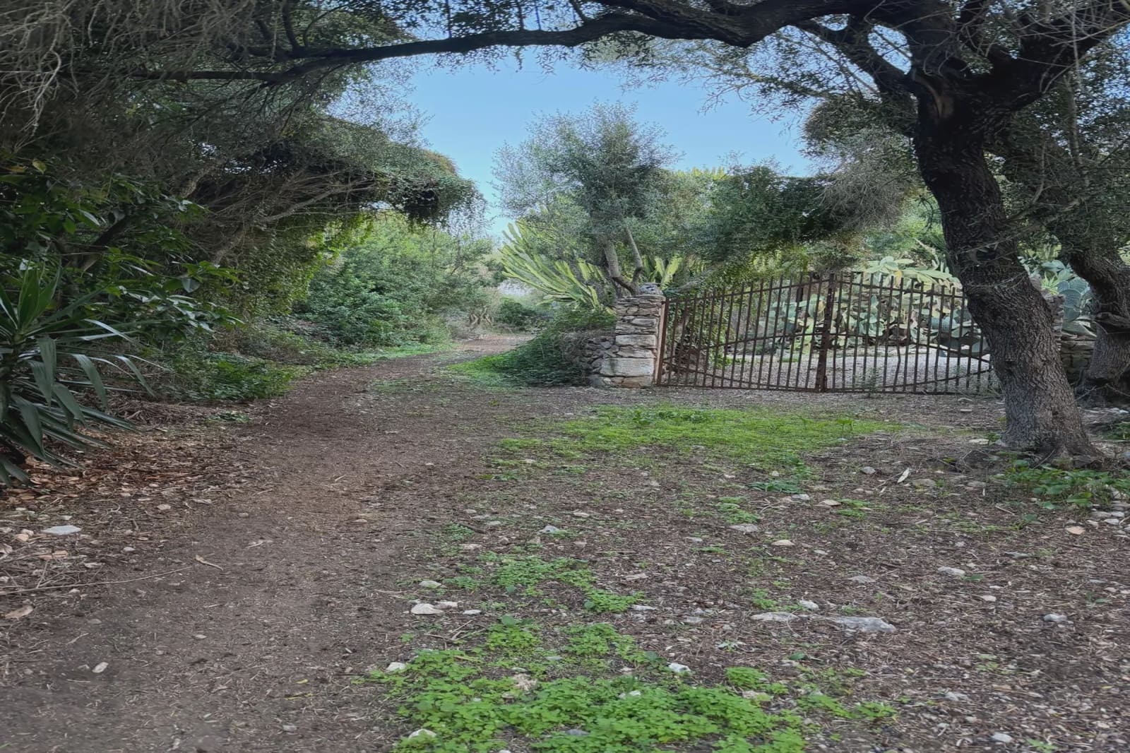 Rakentamaton maa myytävänä paikassa Son Carrio - 210 000 € (Ref: 9319947)