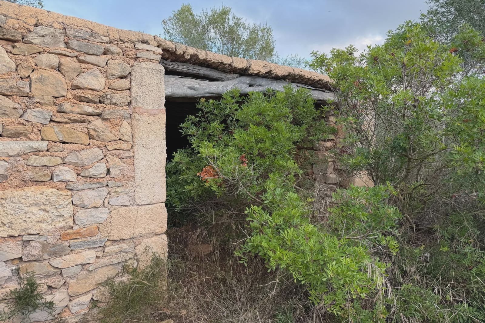 Rakentamaton maa myytävänä paikassa Son Carrio - 210 000 € (Ref: 9319947)