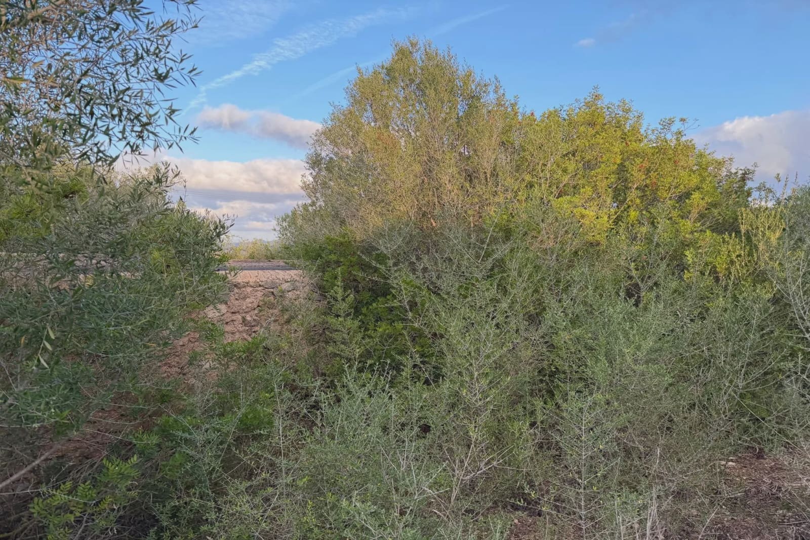 Rakentamaton maa myytävänä paikassa Son Carrio - 210 000 € (Ref: 9319947)