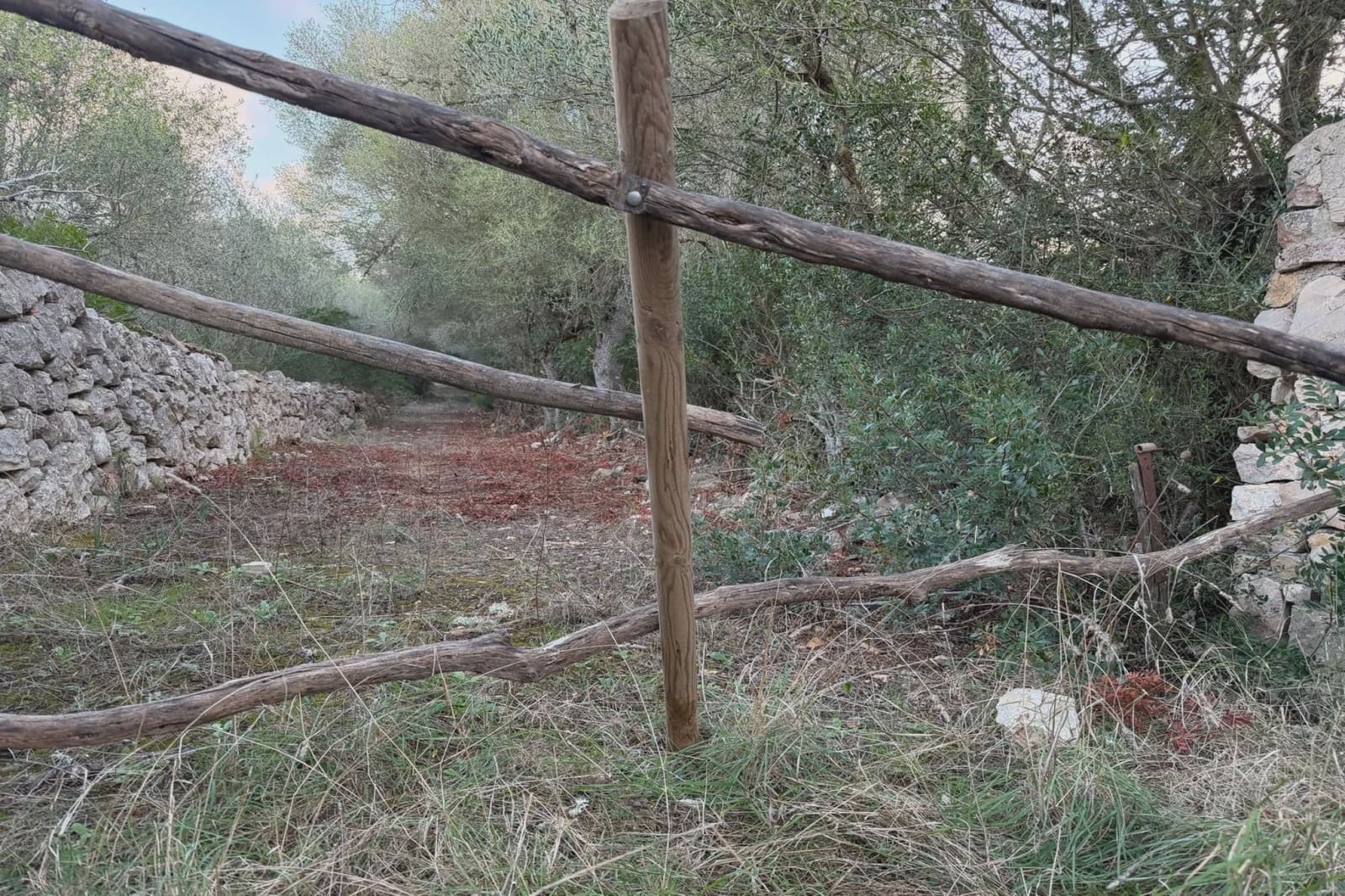 Rakentamaton maa myytävänä paikassa Son Carrio - 210 000 € (Ref: 9319947)