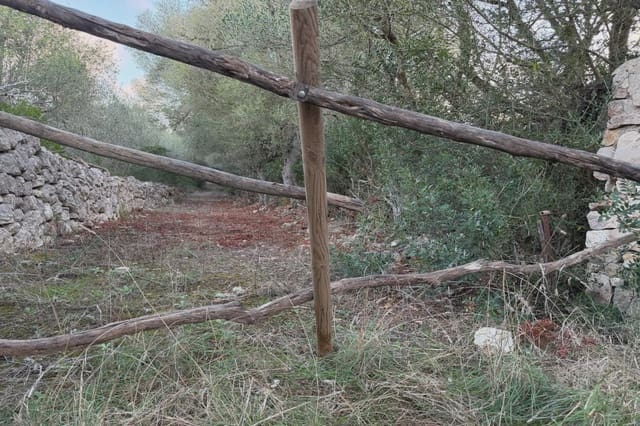 Teren niezagospodarowany na sprzedaż w Son Carrio, Sant Llorenç des Cardassar - 210 000 € (Ref: 9319947)