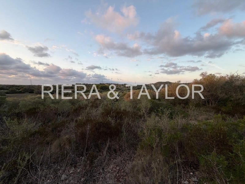 Teren niezagospodarowany na sprzedaż w Son Carrio - 50 000 € (Ref: 9324352)