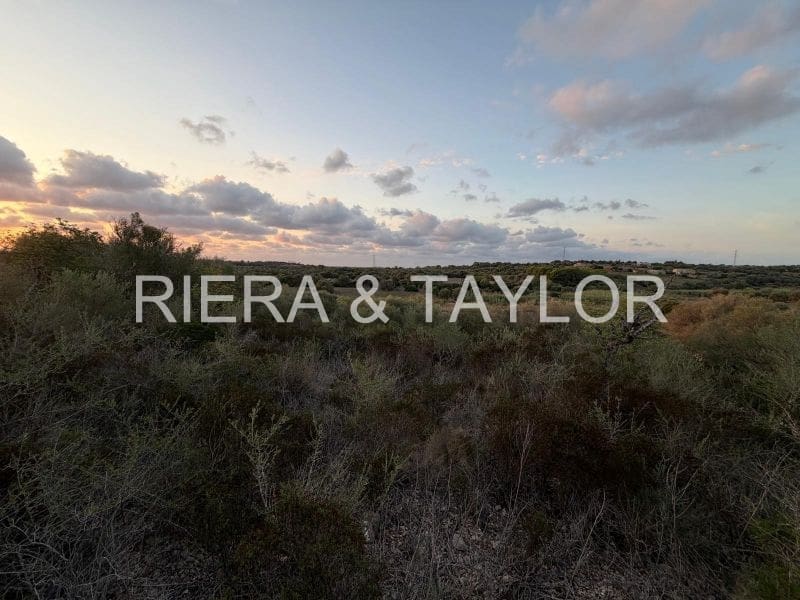 Teren niezagospodarowany na sprzedaż w Son Carrio - 50 000 € (Ref: 9324352)