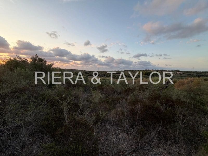 Teren niezagospodarowany na sprzedaż w Son Carrio - 50 000 € (Ref: 9324352)