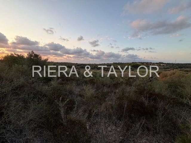 Teren niezagospodarowany na sprzedaż w Son Carrio, Sant Llorenç des Cardassar - 50 000 € (Ref: 9324352)