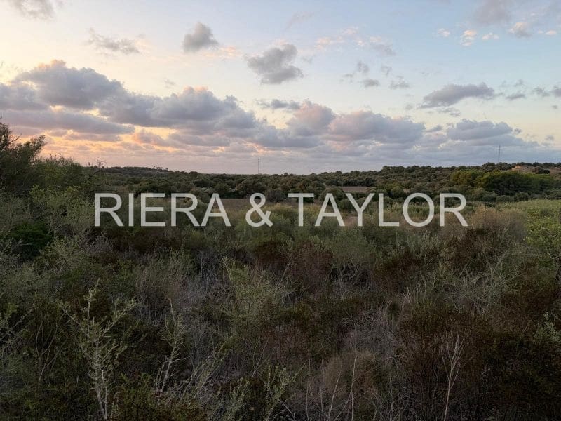 Teren niezagospodarowany na sprzedaż w Son Carrio - 50 000 € (Ref: 9324352)