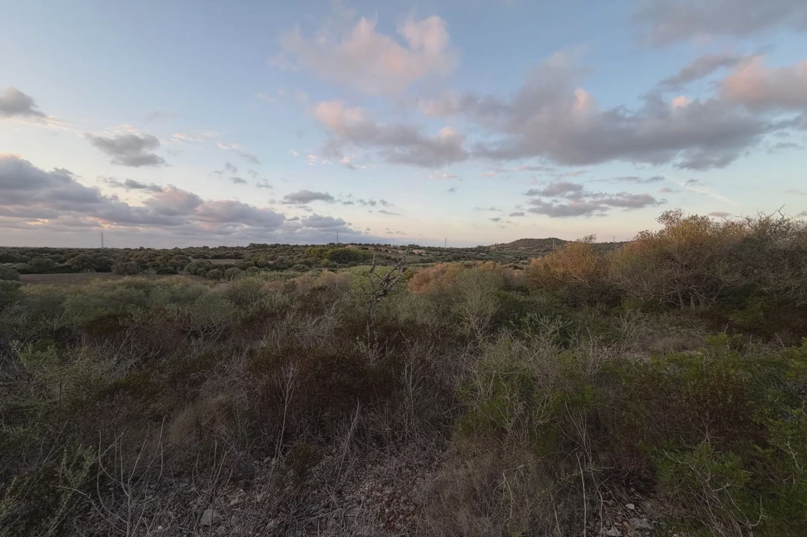 Teren niezagospodarowany na sprzedaż w Son Carrio - 45 000 € (Ref: 9324352)