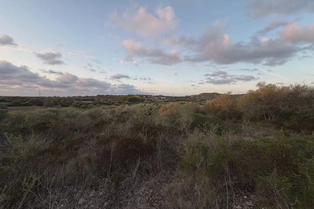 Teren niezagospodarowany na sprzedaż w Son Carrio, Sant Llorenç des Cardassar - 45 000 € (Ref: 9324352)