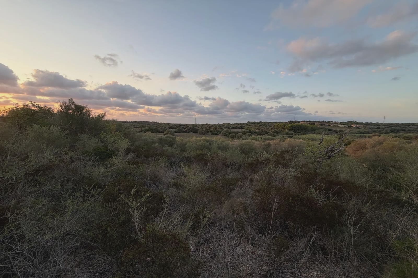 Teren niezagospodarowany na sprzedaż w Son Carrio - 45 000 € (Ref: 9324352)