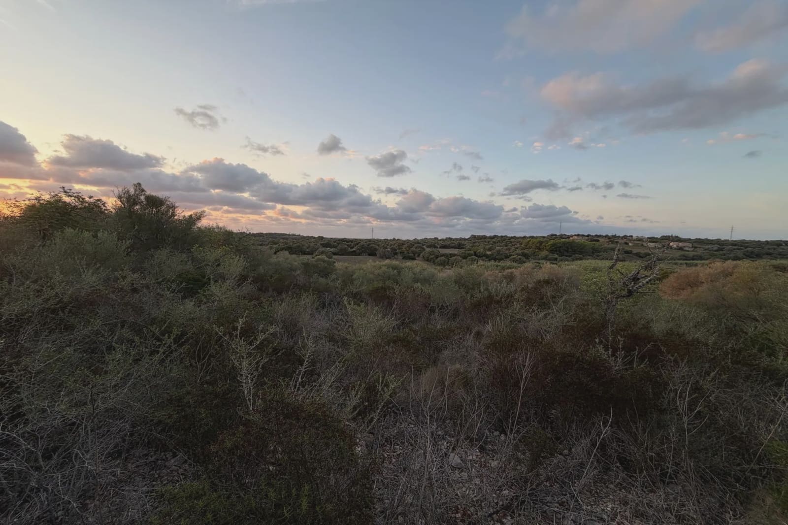 Teren niezagospodarowany na sprzedaż w Son Carrio - 45 000 € (Ref: 9324352)