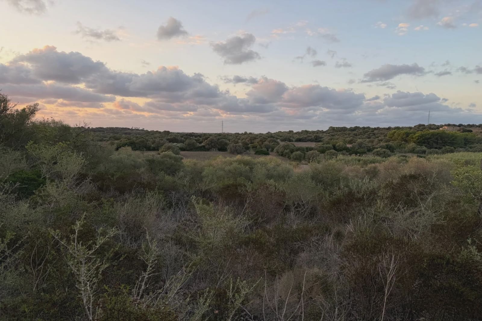 Teren niezagospodarowany na sprzedaż w Son Carrio - 45 000 € (Ref: 9324352)