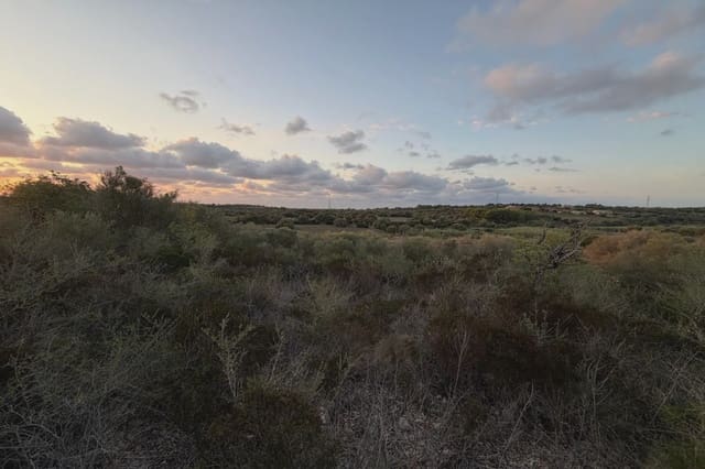 Teren niezagospodarowany na sprzedaż w Son Carrio, Sant Llorenç des Cardassar - 45 000 € (Ref: 9324352)