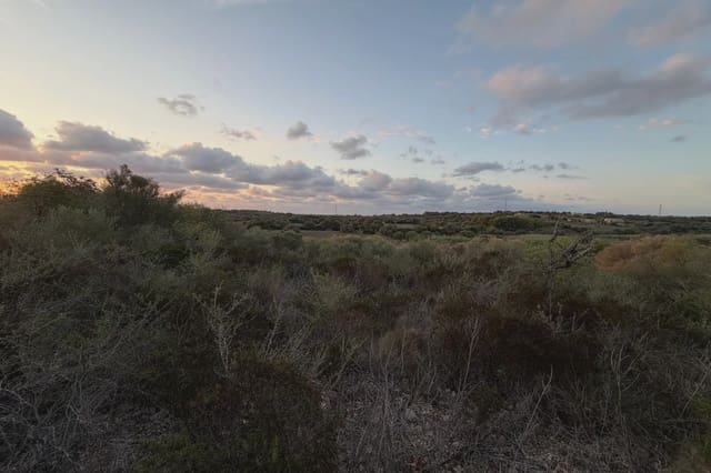 Teren niezagospodarowany na sprzedaż w Son Carrio, Sant Llorenç des Cardassar - 45 000 € (Ref: 9324352)