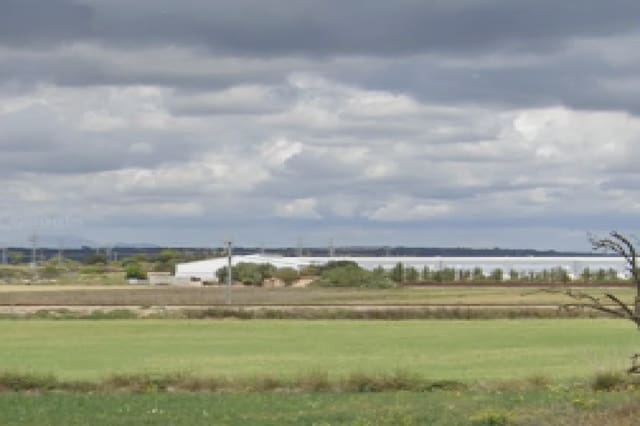 Grunde uden byggetilladelser til salg i Manacor - € 8.500 (Ref: 9335438)