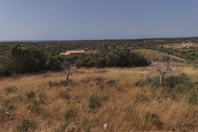 Ubebygd land til salgs i Manacor - € 265 000 (Ref: 9349778)