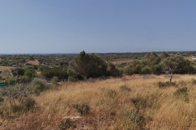 Ubebygd land til salgs i Manacor - € 265 000 (Ref: 9349778)