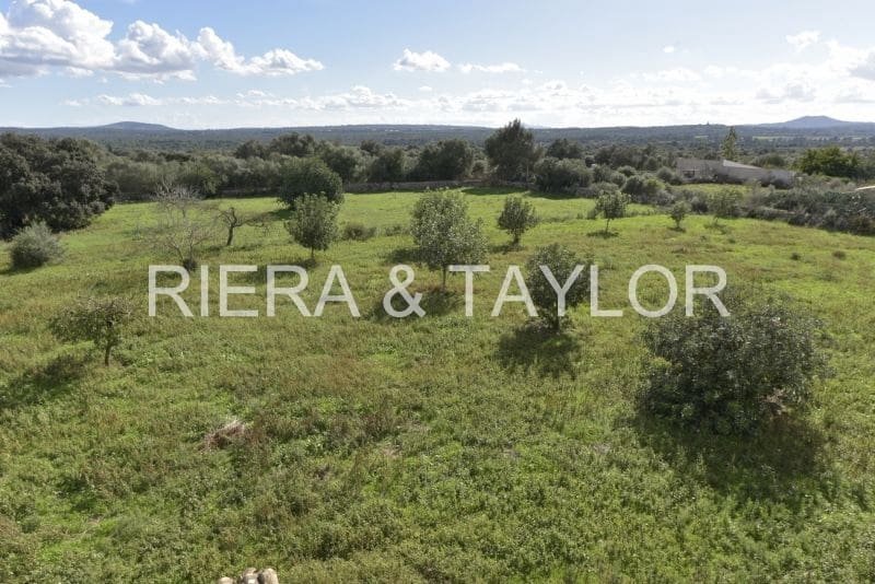 5 chambre Finca/Maison de Campagne à vendre à Santa Margalida - 370 000 € (Ref: 9372138)