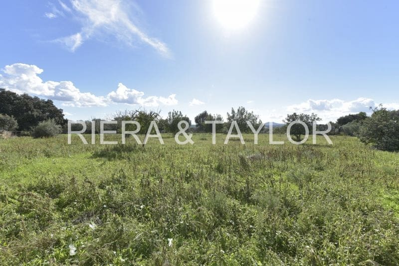 5 chambre Finca/Maison de Campagne à vendre à Santa Margalida - 370 000 € (Ref: 9372138)