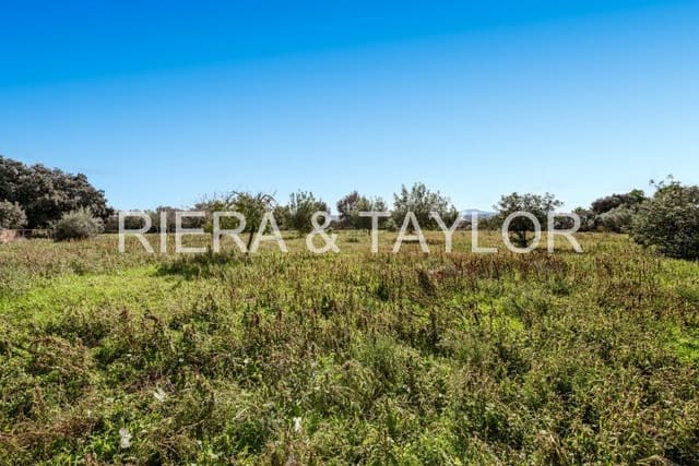 5 Zimmer Finca/Landgut zu verkaufen in Santa Margalida - 370.000 € (Ref: 9372138)