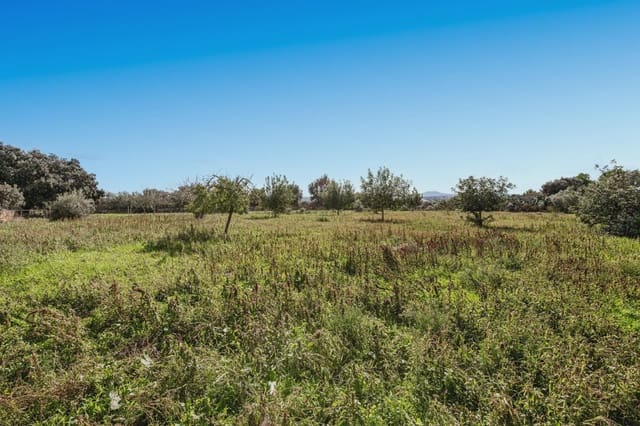 5 slaapkamer Finca/Landhuis te koop in Santa Margalida - € 368.000 (Ref: 9372138)