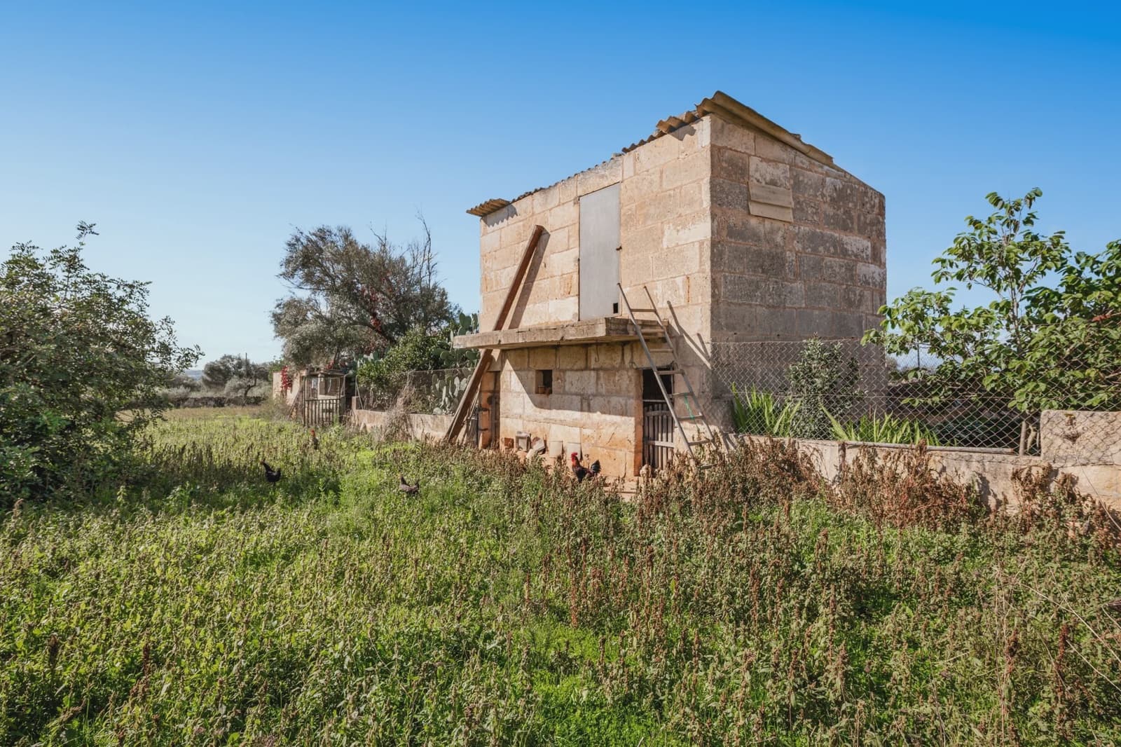 5 bedroom Finca/Country House for sale in Santa Margalida - € 368,000 (Ref: 9372138)