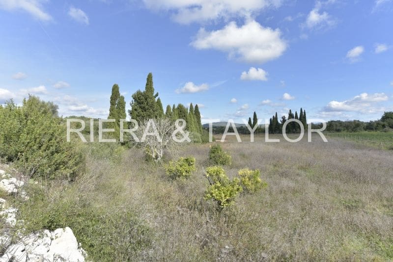 Undeveloped Land for sale in Manacor - € 329,000 (Ref: 9385948)