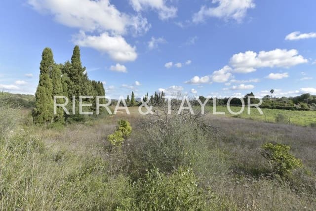 Undeveloped Land for sale in Manacor - € 329,000 (Ref: 9385948)