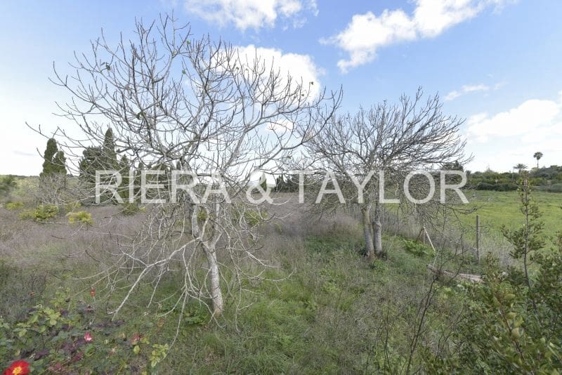 Undeveloped Land for sale in Manacor - € 329,000 (Ref: 9385948)
