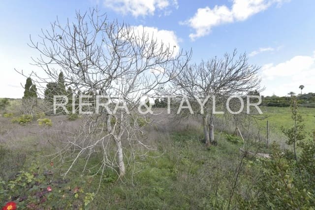 Undeveloped Land for sale in Manacor - € 329,000 (Ref: 9385948)