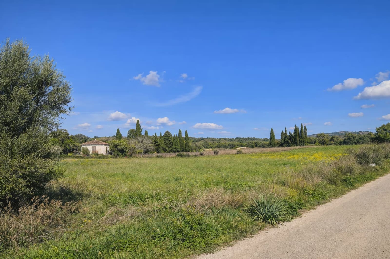 Undeveloped Land for sale in Manacor - € 230,000 (Ref: 9385948)
