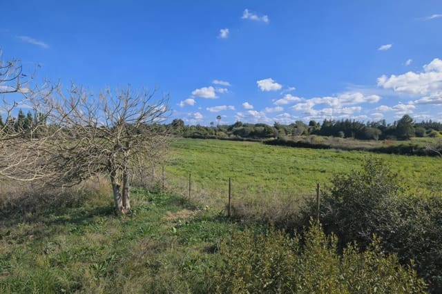 Grunde uden byggetilladelser til salg i Manacor - € 230.000 (Ref: 9385948)