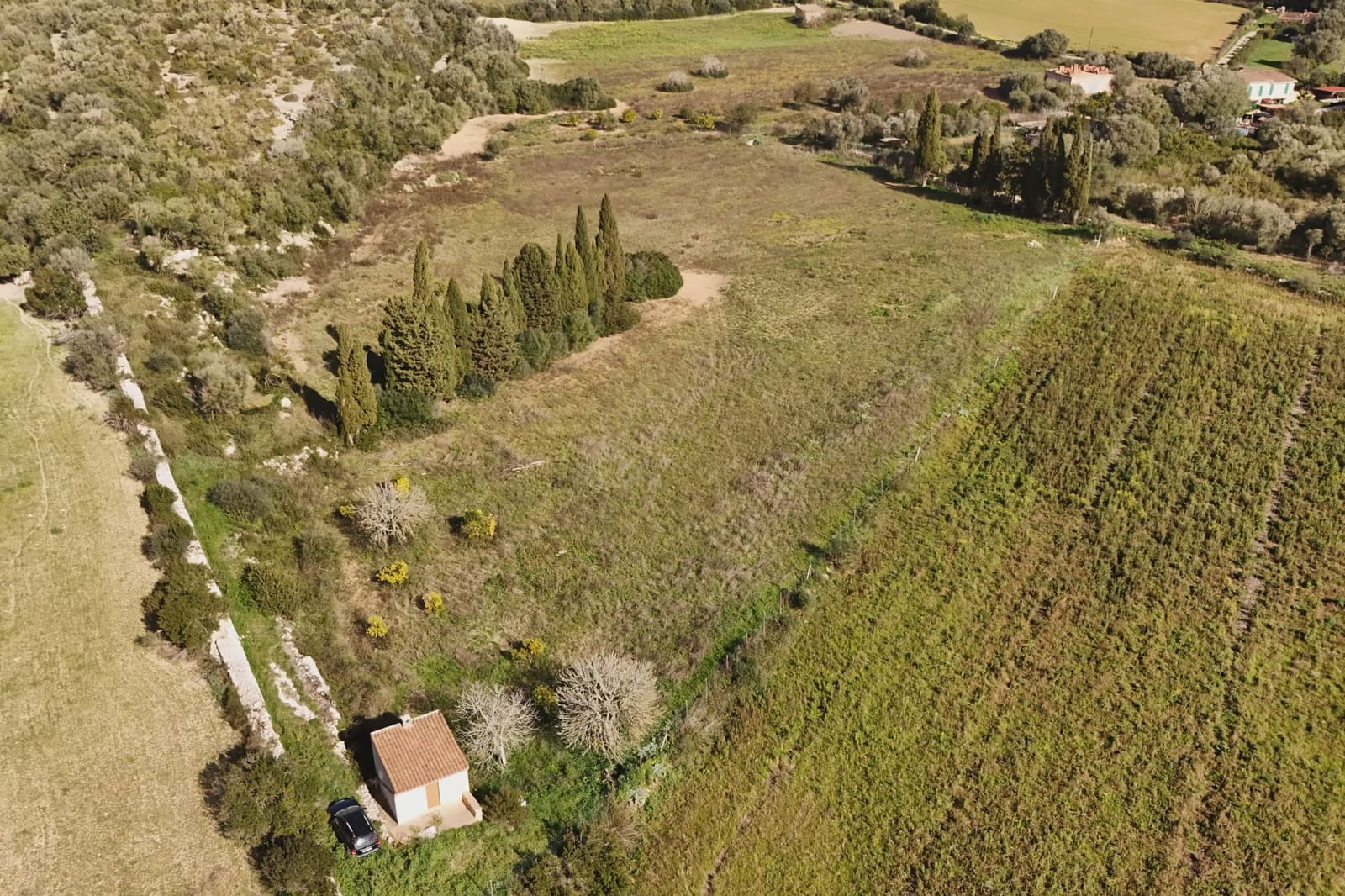Undeveloped Land for sale in Manacor - € 230,000 (Ref: 9385948)
