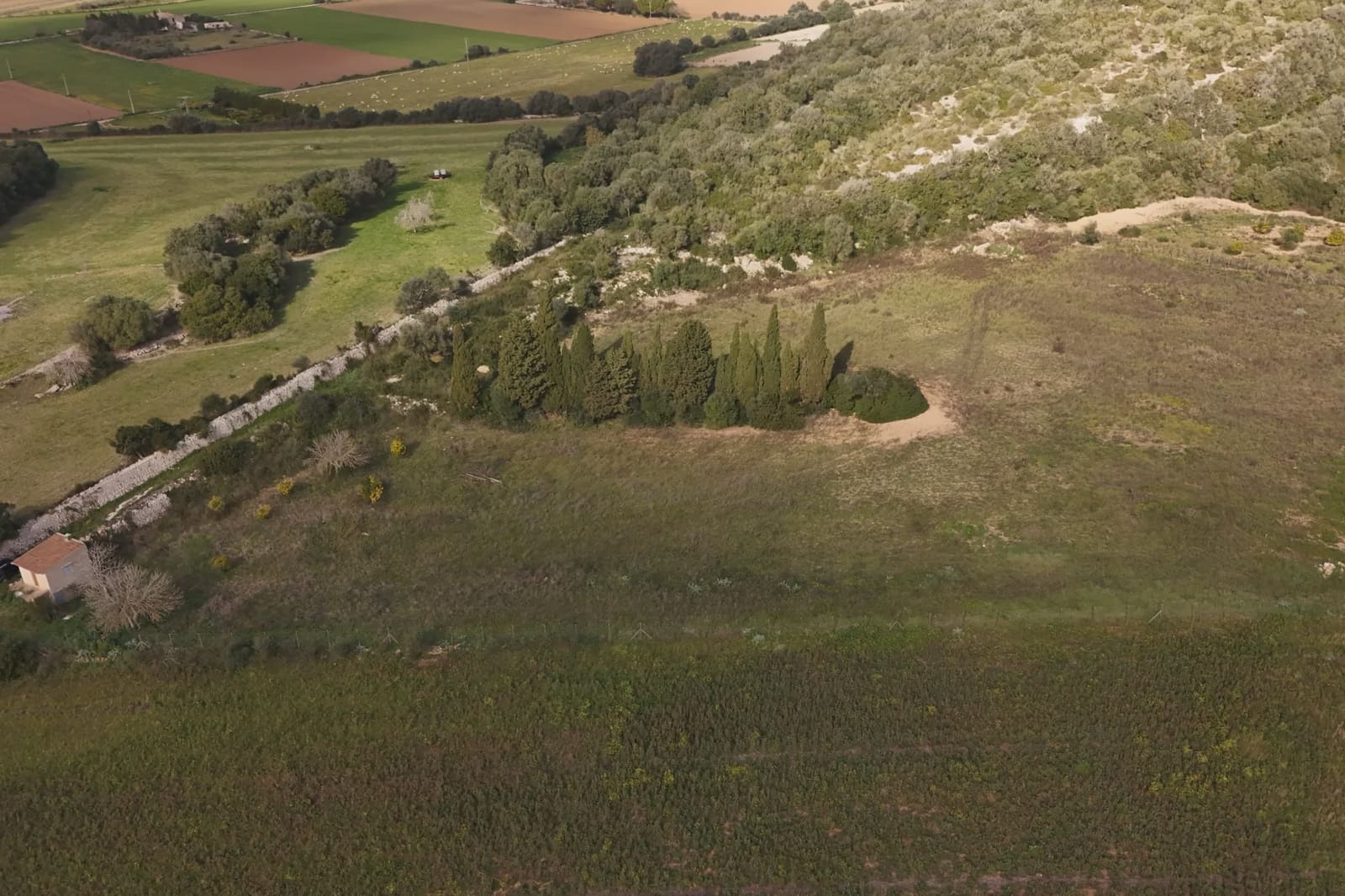 Undeveloped Land for sale in Manacor - € 230,000 (Ref: 9385948)