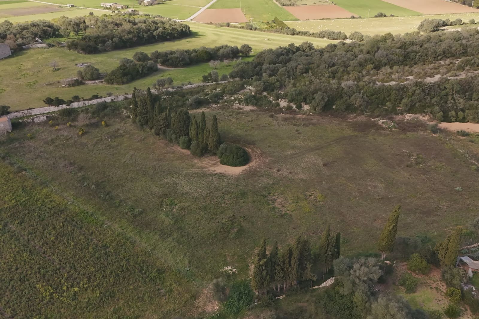 Undeveloped Land for sale in Manacor - € 230,000 (Ref: 9385948)