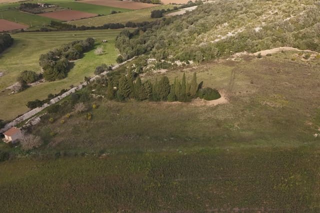 Grunde uden byggetilladelser til salg i Manacor - € 230.000 (Ref: 9385948)