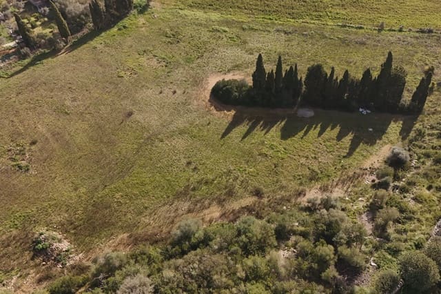 Terreno/Finca Rústica en Manacor en venta - 210.000 € (Ref: 9385948)