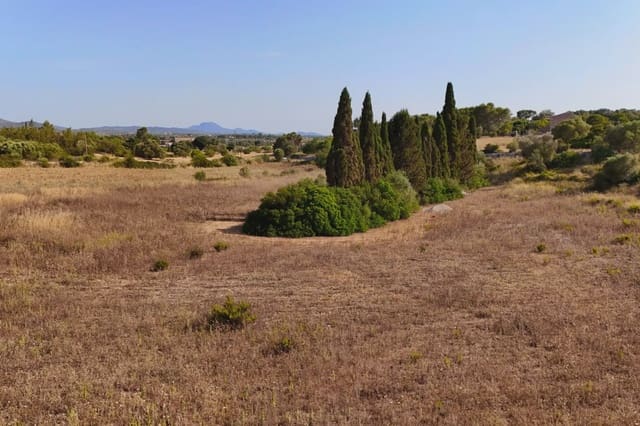 Undeveloped Land for sale in Manacor - € 185,000 (Ref: 9385948)