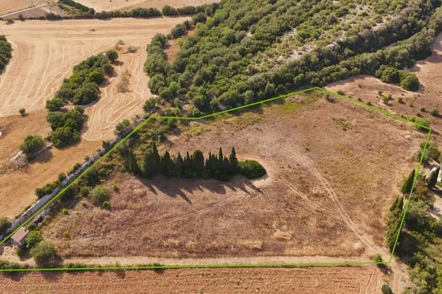 Terreno Non Edificato in vendita in Manacor - 250.000 € (Rif: 9385948)